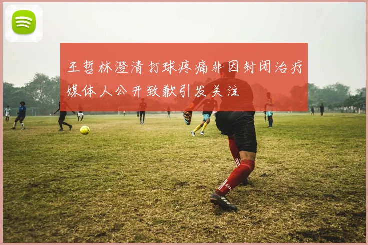 王哲林澄清打球疼痛非因封闭治疗媒体人公开致歉引发关注